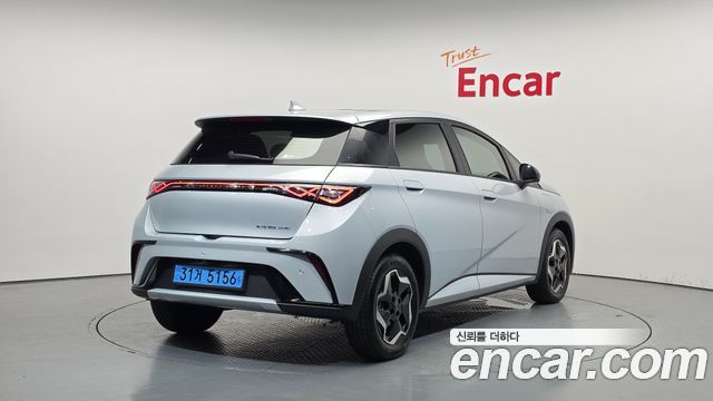 BYD Dolphin Base - фото 1