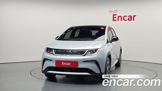 BYD Dolphin Base - фото 2