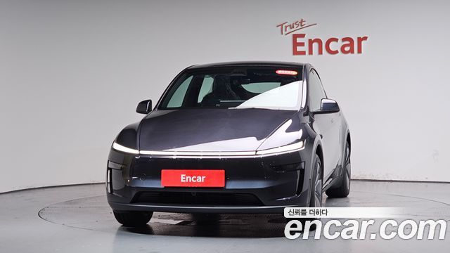 Tesla Model Y Premium Long Range AWD - фото 1