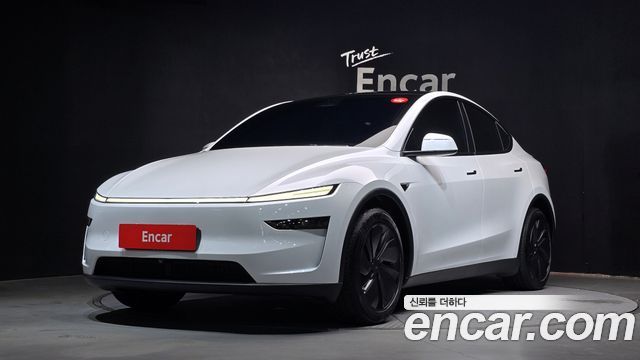 Tesla Model Y Premium RWD - фото 0