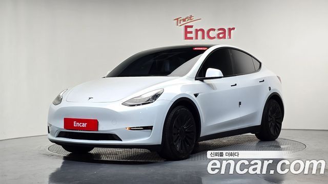 Tesla Model Y Long Range AWD - фото 0