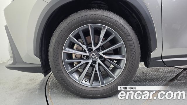 Lexus NX 2-го поколения Premium - фото 3