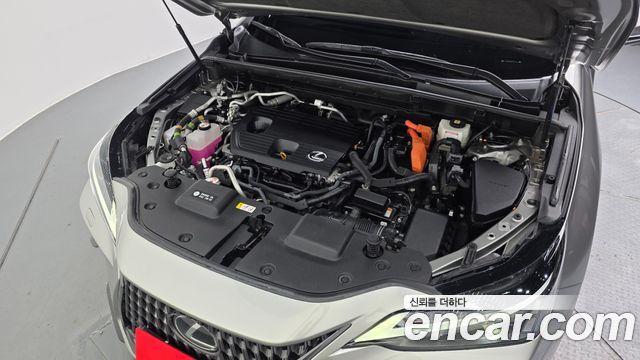 Lexus NX 2-го поколения Premium - фото 4