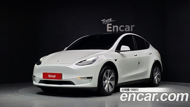 Tesla Model Y Long Range AWD - фото 0
