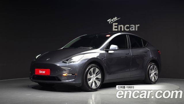 Tesla Model Y Long Range AWD - фото 0