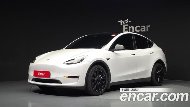 Tesla Model Y Long Range AWD - фото 0