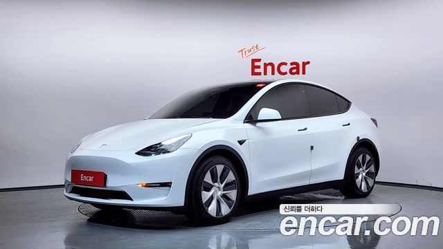 Tesla Model Y Long Range AWD - фото 0