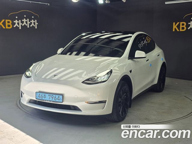 Tesla Model Y Long Range AWD - фото 0