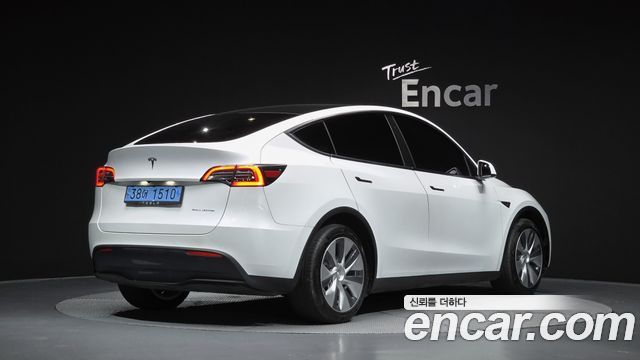 Tesla Model Y Long Range AWD - фото 0
