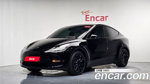 Tesla Model Y Long Range AWD - фото 0