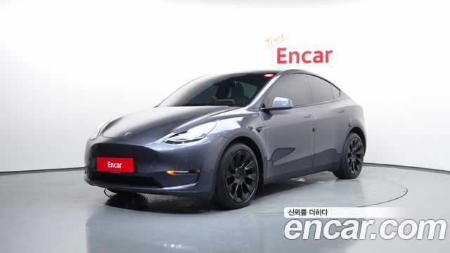 Tesla Model Y Long Range AWD - фото 0