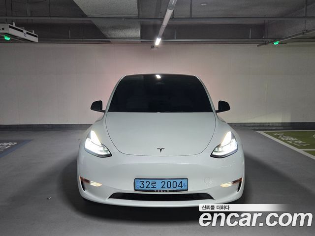Tesla Model Y Long Range AWD - фото 0