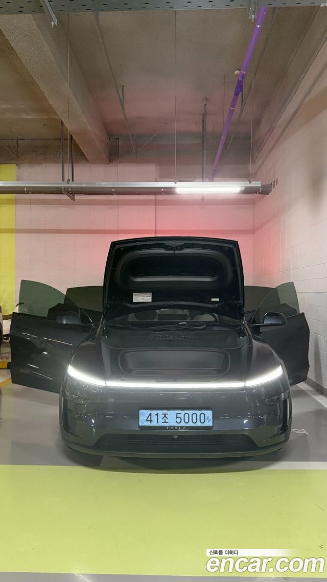 Tesla Model Y Premium Long Range AWD - фото 0