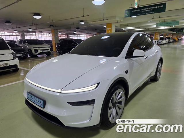 Tesla Model Y Long Range AWD - фото 0