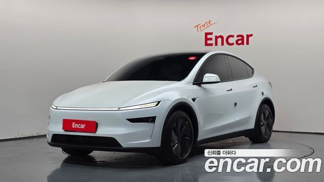 Tesla Model Y Long Range AWD - фото 0