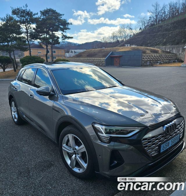 Audi Q8 e-tron GE 50 Quattro - фото 0