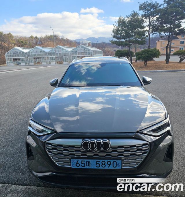 Audi Q8 e-tron GE 50 Quattro - фото 2