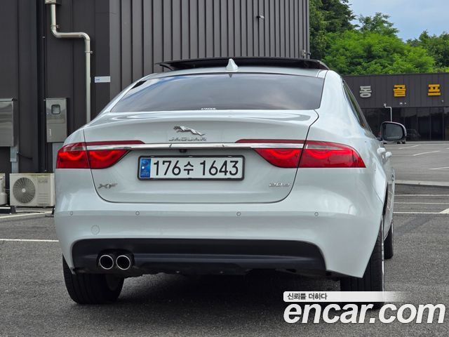 Jaguar XF X260 20d Portfolio - фото 1