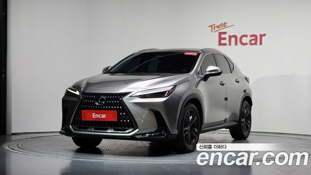 Lexus NX 2-го поколения Premium - фото 0
