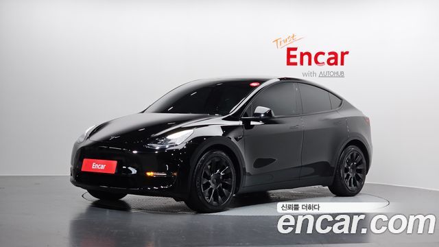 Tesla Model Y Long Range AWD - фото 0