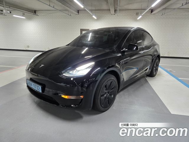 Tesla Model Y Long Range AWD - фото 0