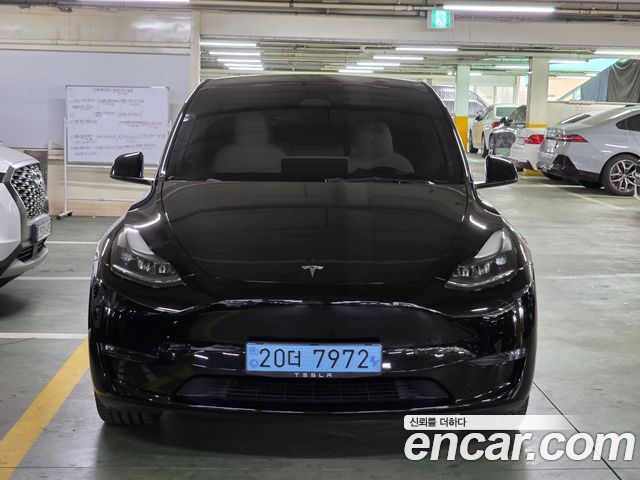 Tesla Model Y Long Range AWD - фото 0