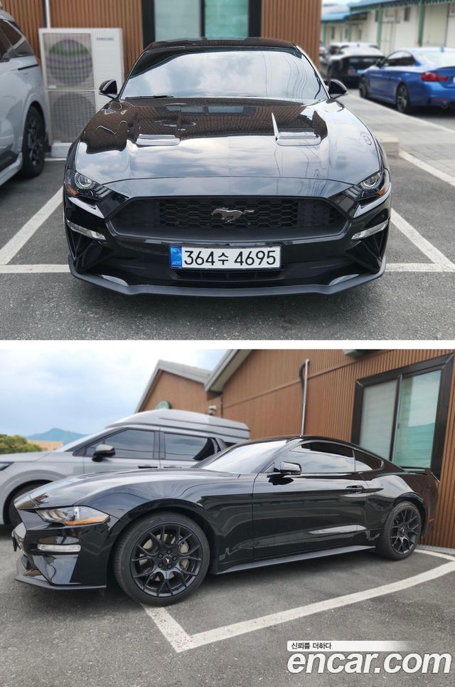 Ford Mustang Coupe - фото 1