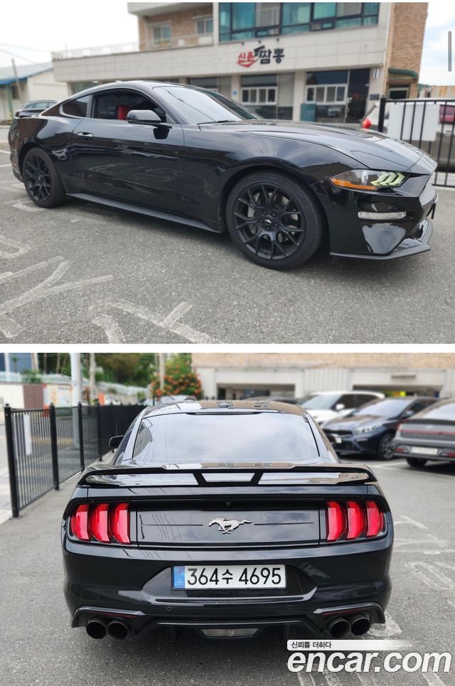 Ford Mustang Coupe - фото 2