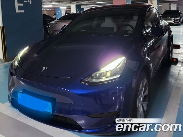 Tesla Model Y RWD - фото 0