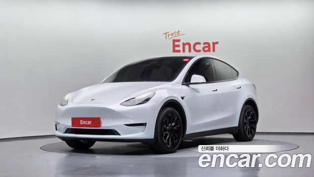 Tesla Model Y Long Range AWD - фото 0