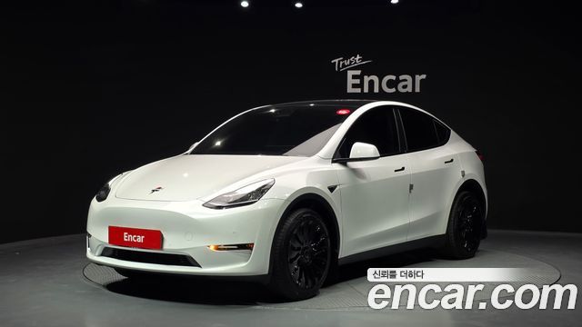 Tesla Model Y Long Range AWD - фото 0