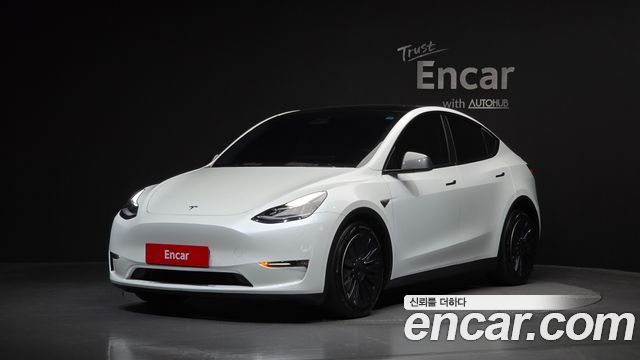 Tesla Model Y Long Range AWD - фото 0