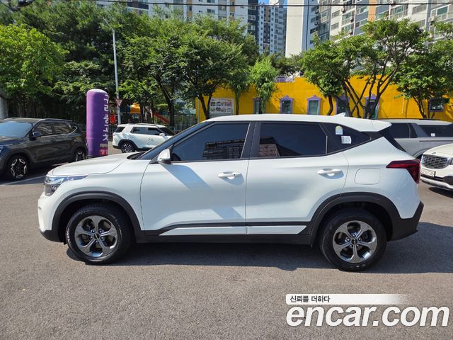 Kia Seltos Новый Gasoline 1.6 Turbo 2WD Trendy - фото 3