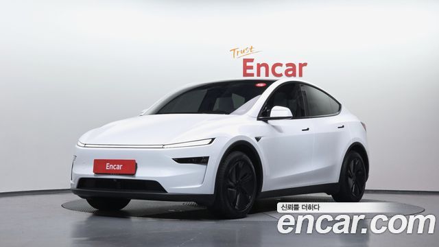 Tesla Model Y Long Range AWD - фото 0