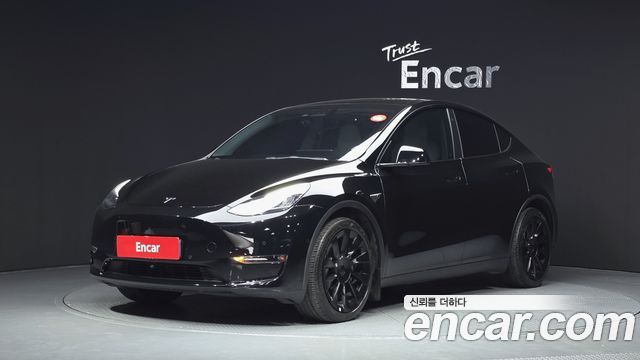 Tesla Model Y Long Range AWD - фото 0