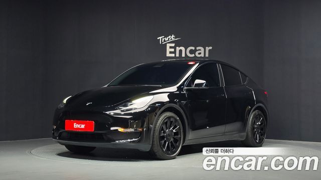 Tesla Model Y Long Range AWD - фото 0