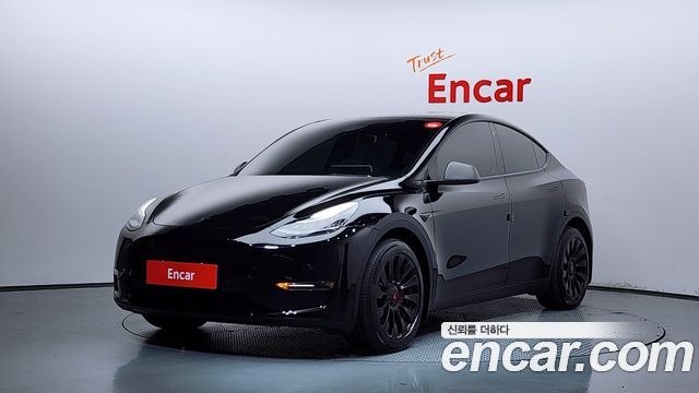 Tesla Model Y Long Range AWD - фото 0