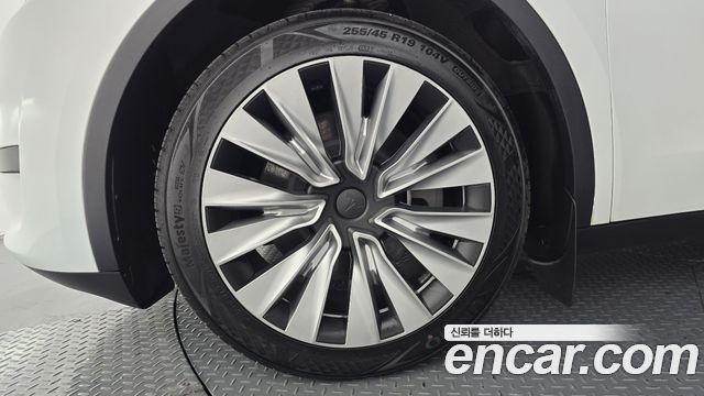 Tesla Model Y RWD - фото 4