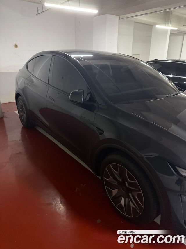 Tesla Model Y L Long Range AWD - фото 0