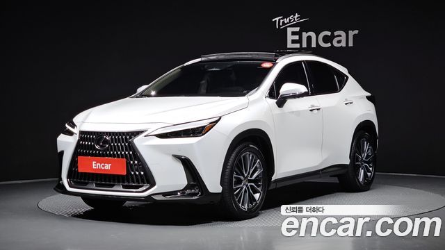 Lexus NX 2-го поколения Luxury - фото 0