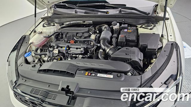 Kia K5 Новый 3-го поколения 1.6 Turbo Noblesse - фото 4