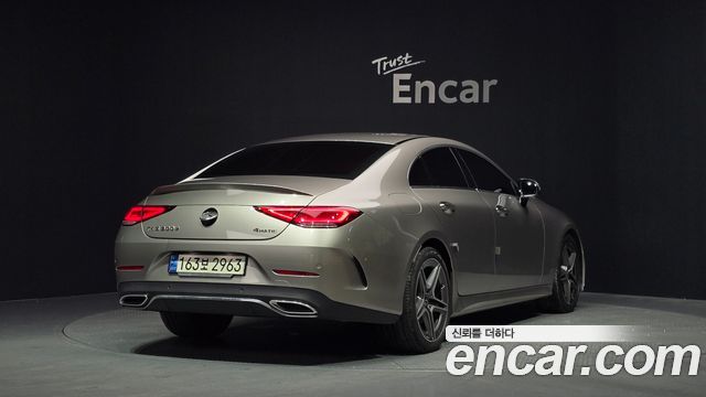 Mercedes-Benz CLS-Class C257 CLS300d 4MATIC - фото 1