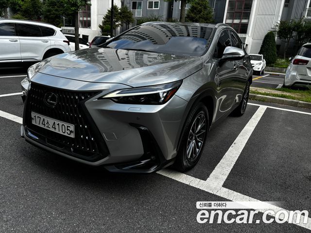 Lexus NX 2-го поколения Premium - фото 0