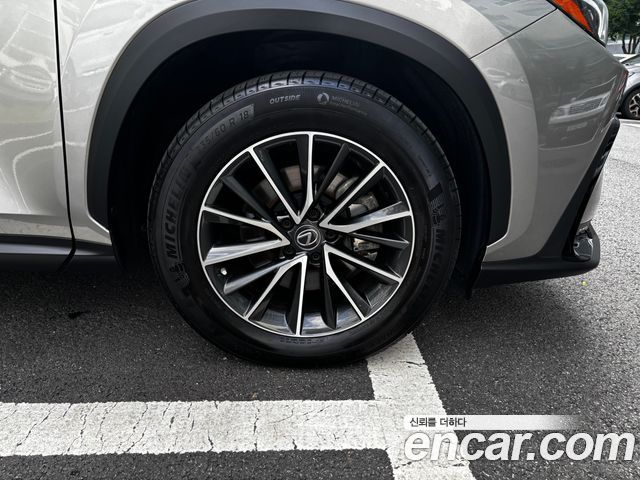 Lexus NX 2-го поколения Premium - фото 4