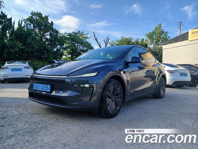 Tesla Model Y Long Range AWD - фото 0