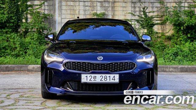 Kia Stinger 2.0 Turbo AWD Platinum - фото 3