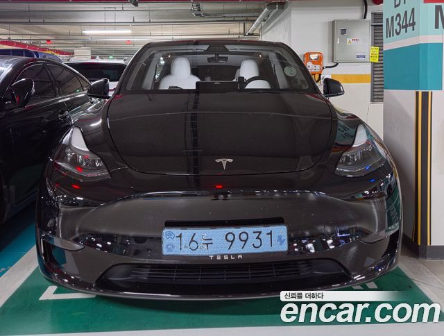 Tesla Model Y Long Range AWD - фото 0