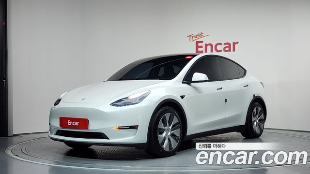 Tesla Model Y Long Range AWD - фото 0