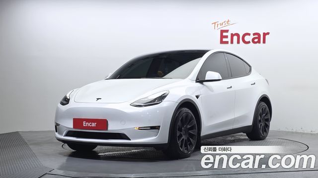 Tesla Model Y Long Range AWD - фото 0