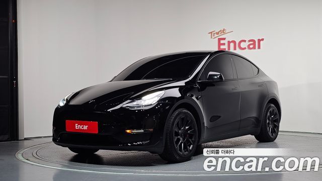 Tesla Model Y Long Range AWD - фото 0